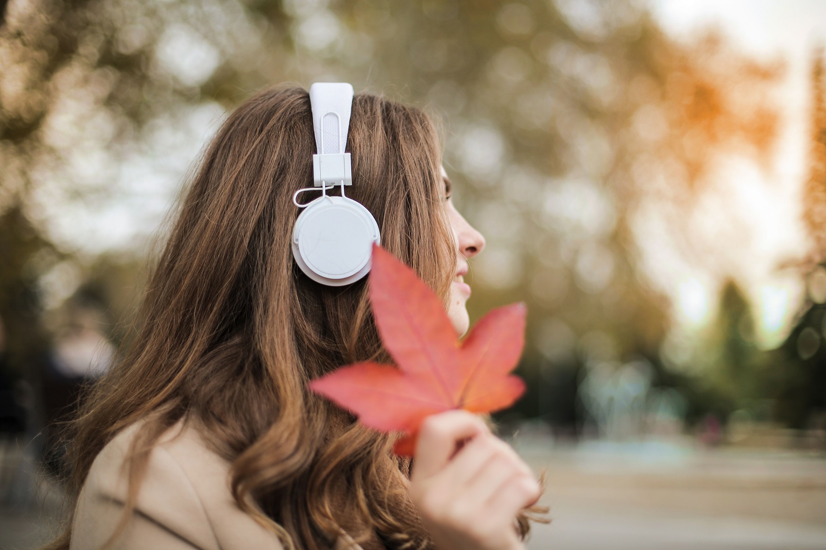 The Effects of Different Music Genres on the Brain